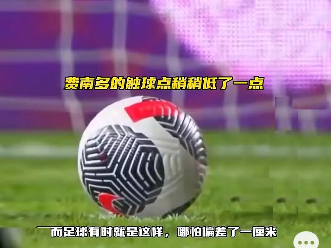 实施得到了